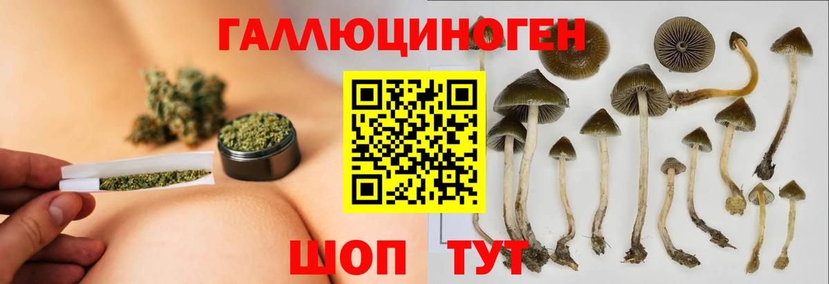 Галлюциногенные грибы MAGIC MUSHROOMS  Вход с VPN  Лыткарино  Псилоцибиновые грибы прущие грибы 