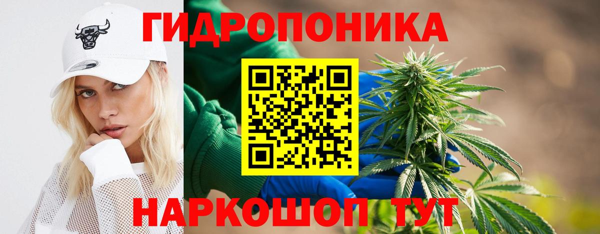 Бошки Шишки THC 21% Лыткарино